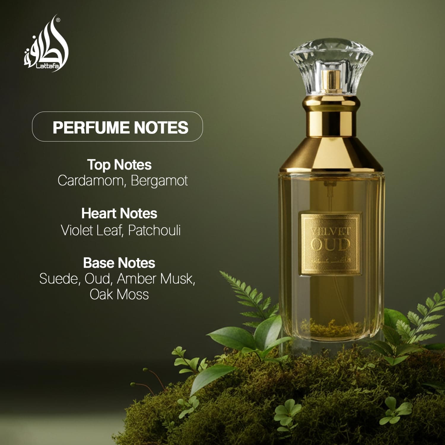 Lattafa Velvet Oud 2