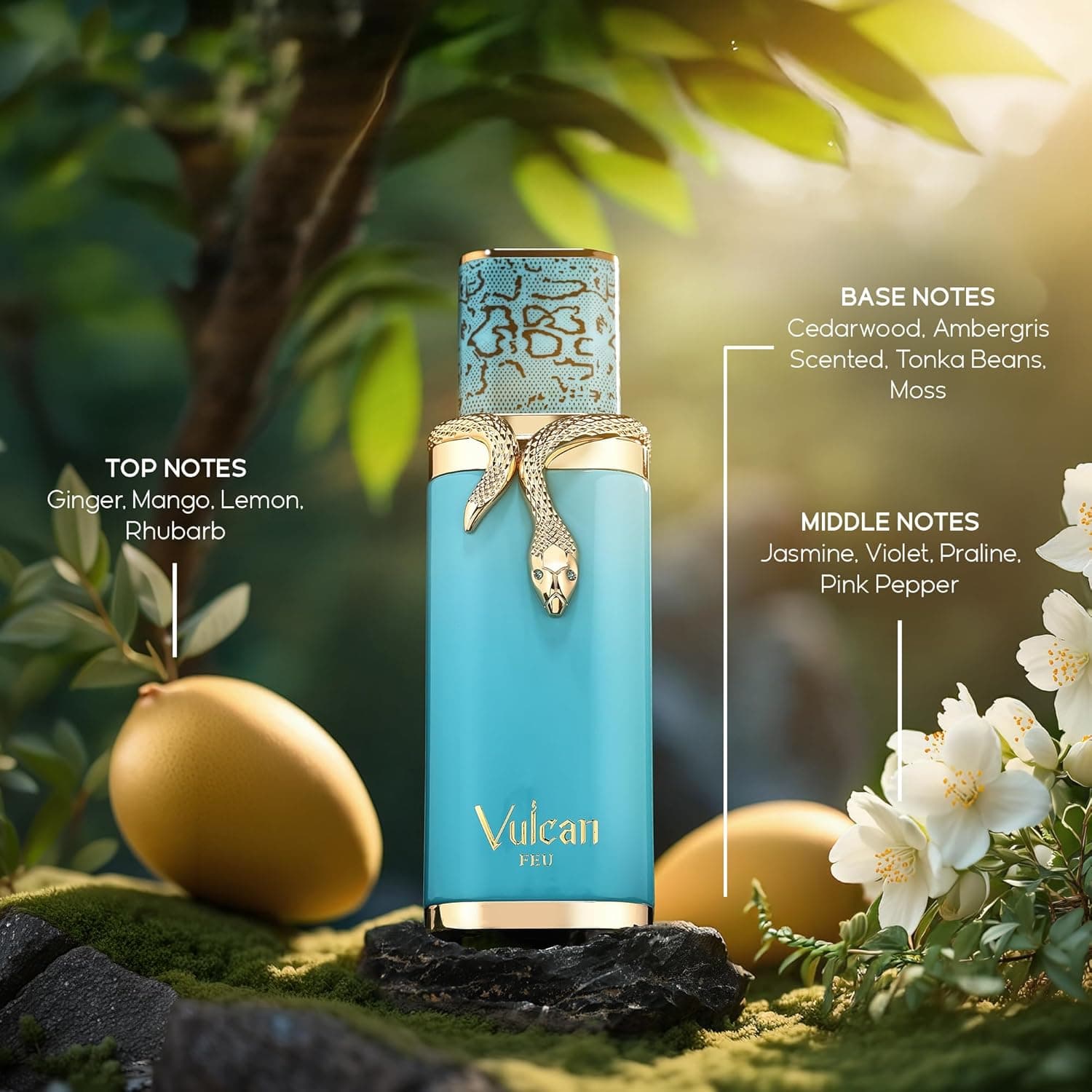 French Avenue Vulcan Fue 2