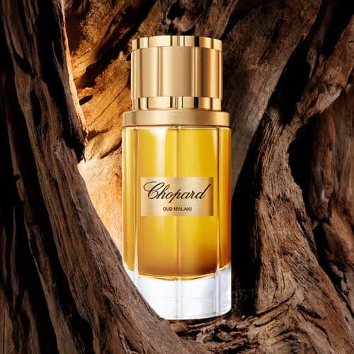 Chopard Oud Malaki 1